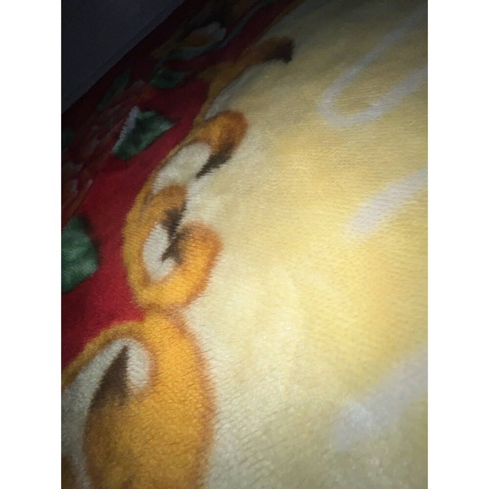 2 Sided Plush Minky Korean Style Blanket Koi Floral Double Side - Picture 16 of 16